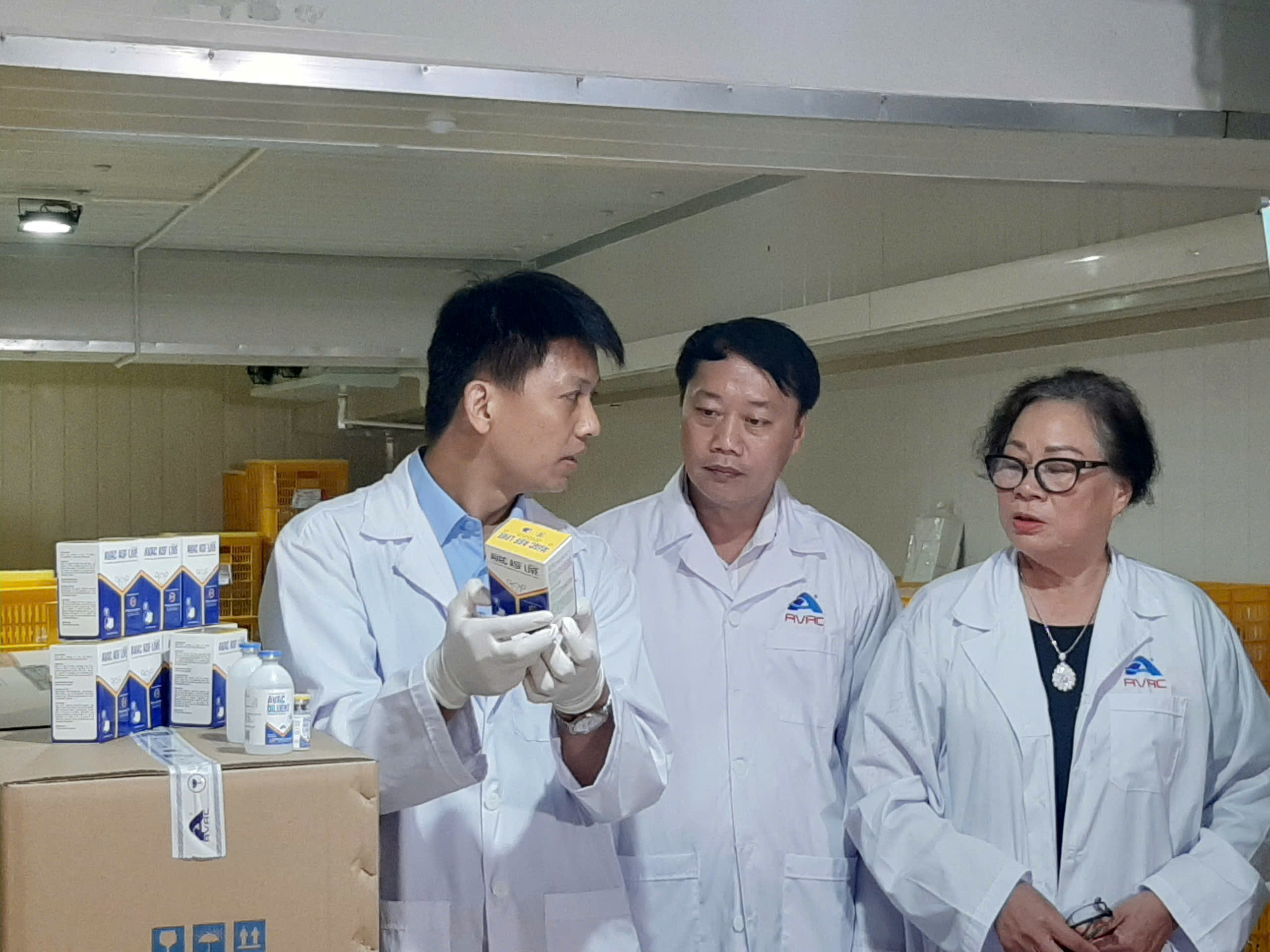 Việt Nam xuất ngoại 340.000 liều vaccine dịch tả lợn châu Phi