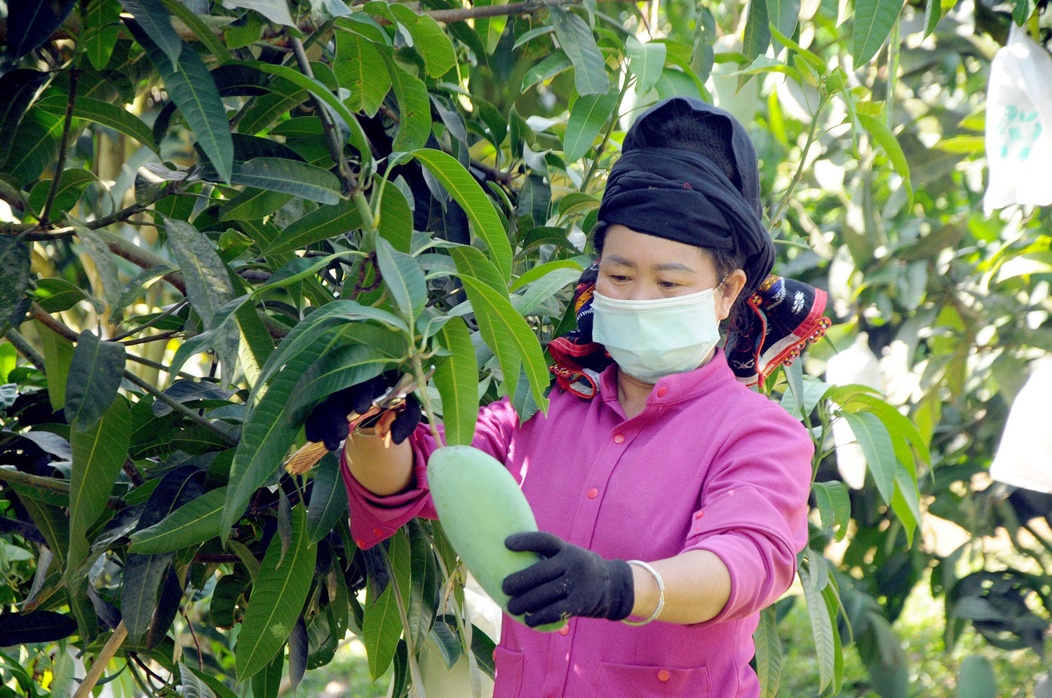 Sơn La: Nâng cao giá trị cho Trang Chủ OKVIP COM Top #1 an toàn nhờ liên kết chuỗi