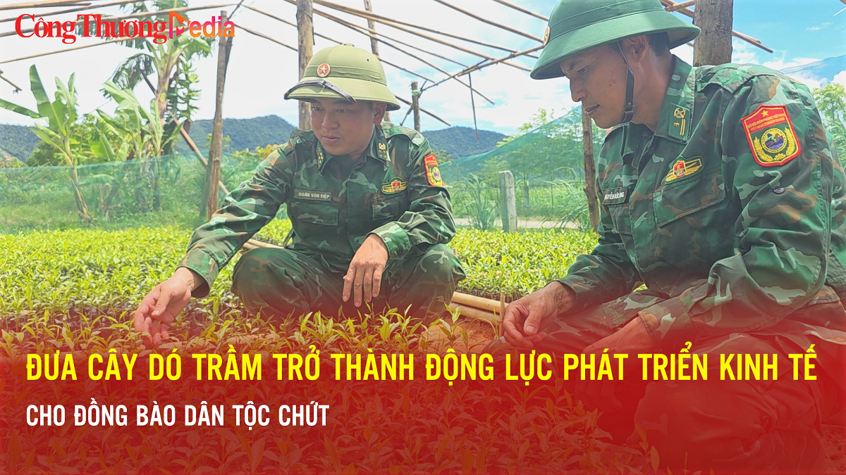 Hà Tĩnh: Đưa cây dó trầm phát triển Okvip - liên minh giải trí #1 thế giới hà nội cho đồng bào dân tộc Chứt