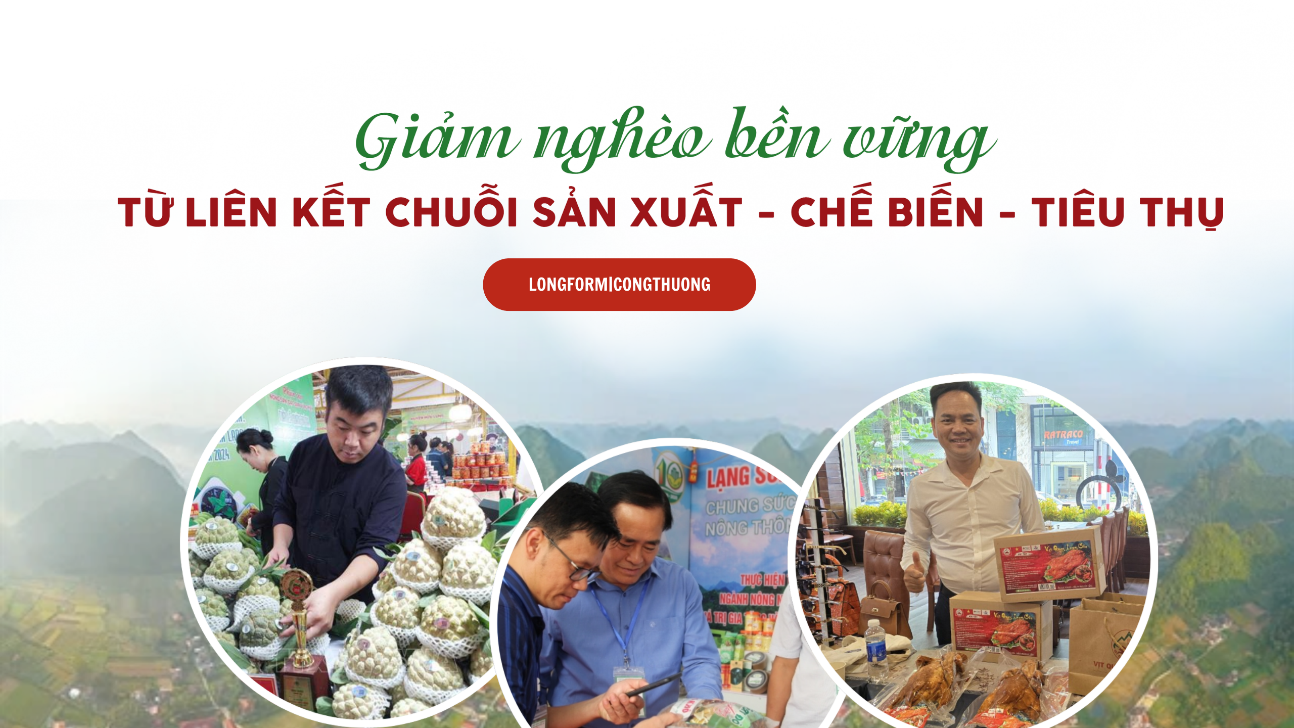 Longform | Giảm nghèo bền vững từ liên kết chuỗi 