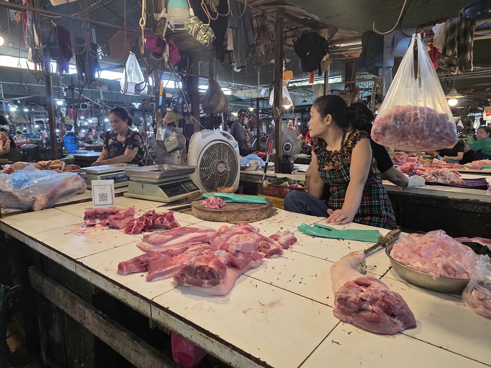 Hà Tĩnh: Dịch tả lợn châu Phi bùng phát, thị trường ảm đạm