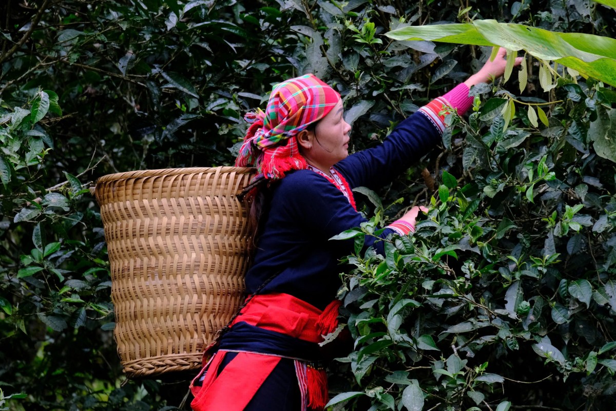 Hội chợ Mùa Thu 2025: Cầu nối giao thương, quảng bá Trang Chủ OKVIP COM Top #1 Việt