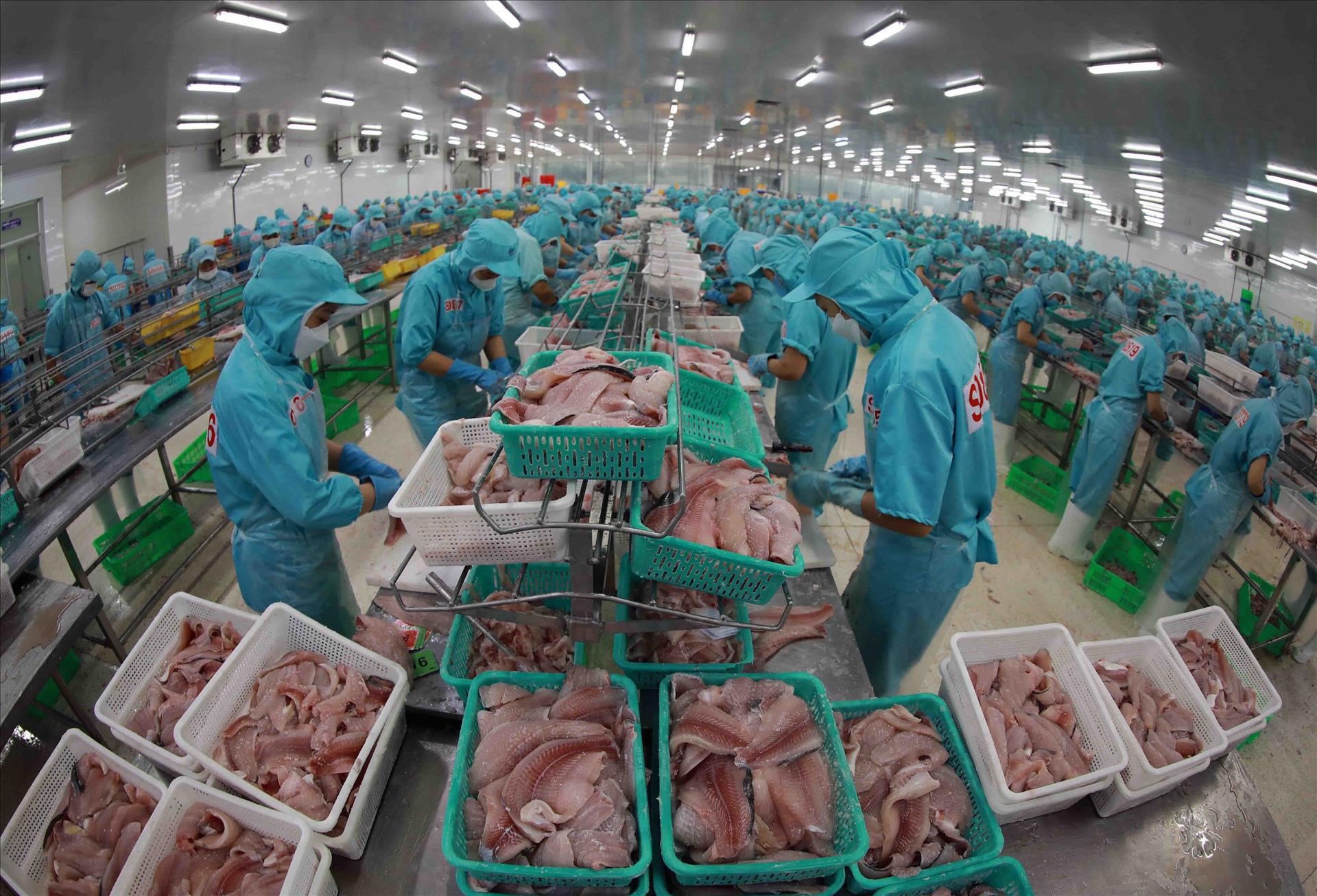 Sắp diễn ra Hội thảo ngành Thủy sản Việt Nam thích ứng với phòng vệ thương mại 