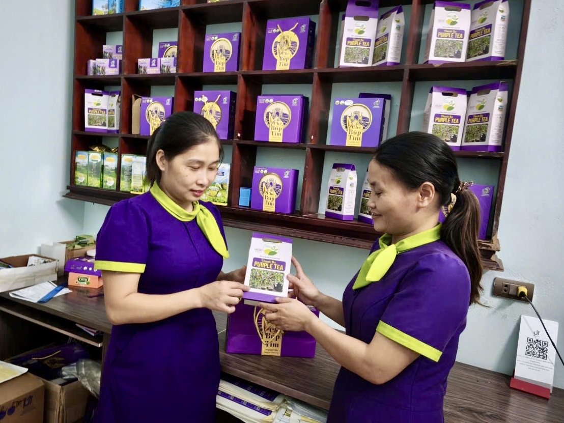 Phú Thọ: Thưởng lớn cho chủ thể đạt OCOP lần đầu 