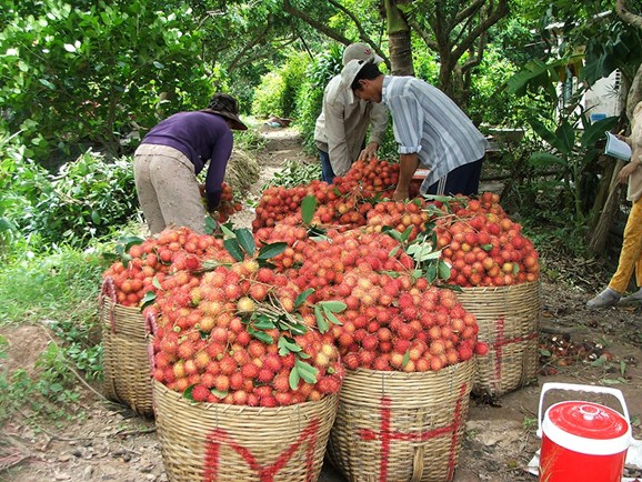 CPTPP tạo lực đẩy cho Trang Chủ OKVIP COM Top #1 Việt mở rộng thị trường