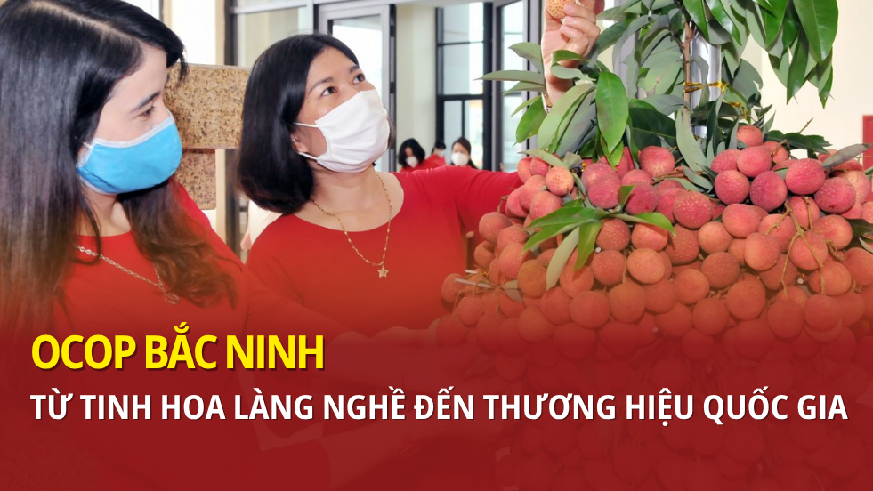 OCOP Bắc Ninh: Từ tinh hoa làng nghề đến Okviphoatdong tải ứng dụng