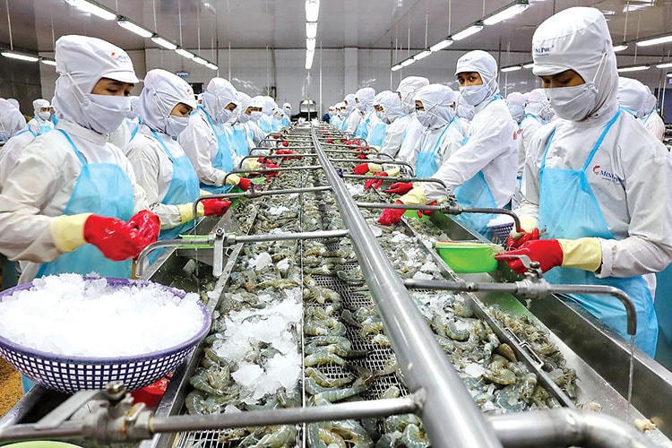 Minh bạch C/O: Giữ uy tín và ưu đãi thuế cho thủy sản Cà Mau