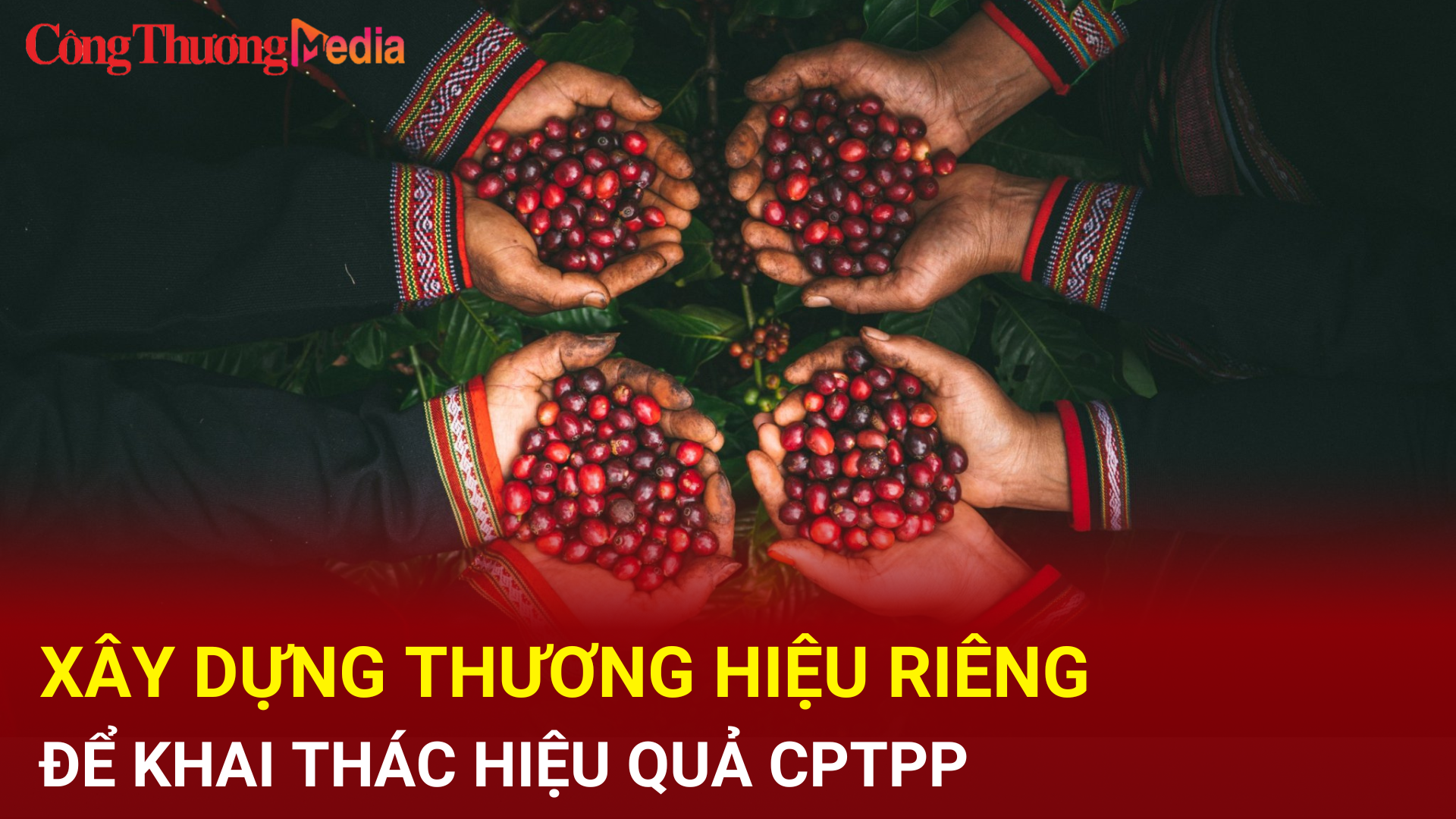 Liên minh Okvip có bao nhiều trang thương hiệu riêng để khai thác hiệu quả CPTPP