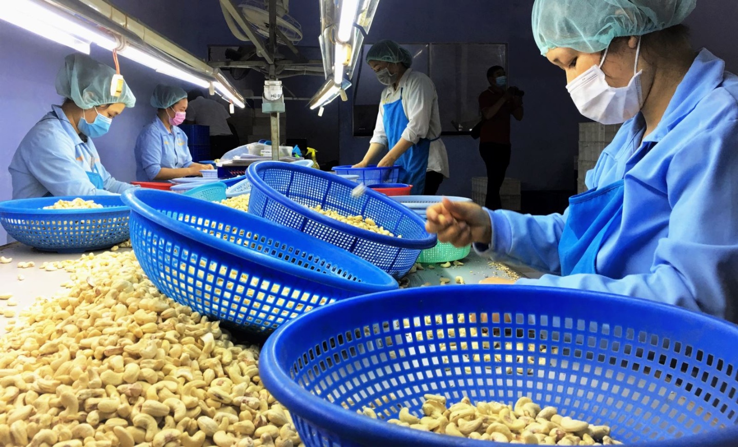 Thực thi FTA giúp Okvip tại về ổn định chiến lược kinh doanh