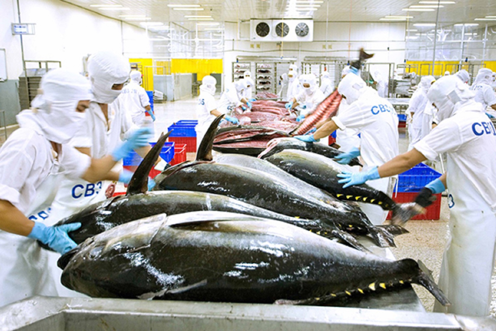 Gỡ 'thẻ vàng' IUU: 9 nhiệm vụ trọng tâm trước giờ 'G'