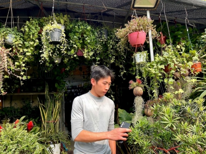 Hà Nội: Phố hoa, cây cảnh rộn ràng không khí Tết