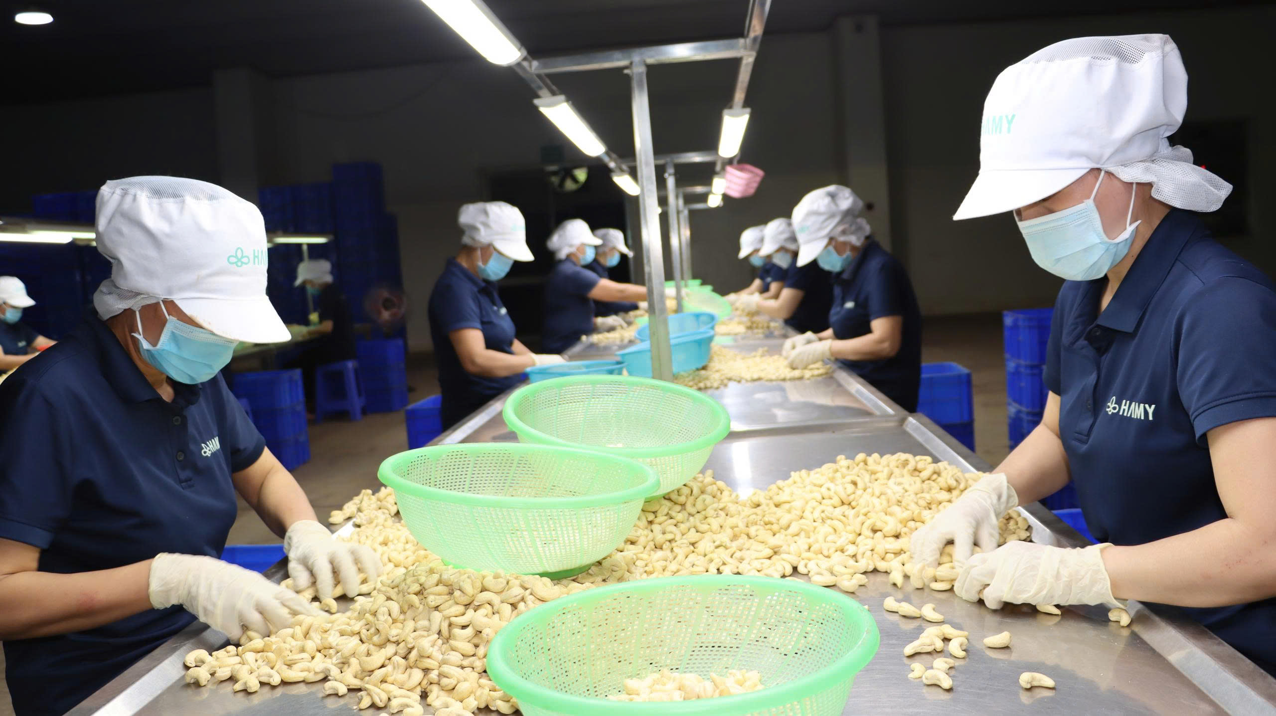Muốn ra biển lớn, nông sản Việt phải mặc 'giáp' tiêu chuẩn