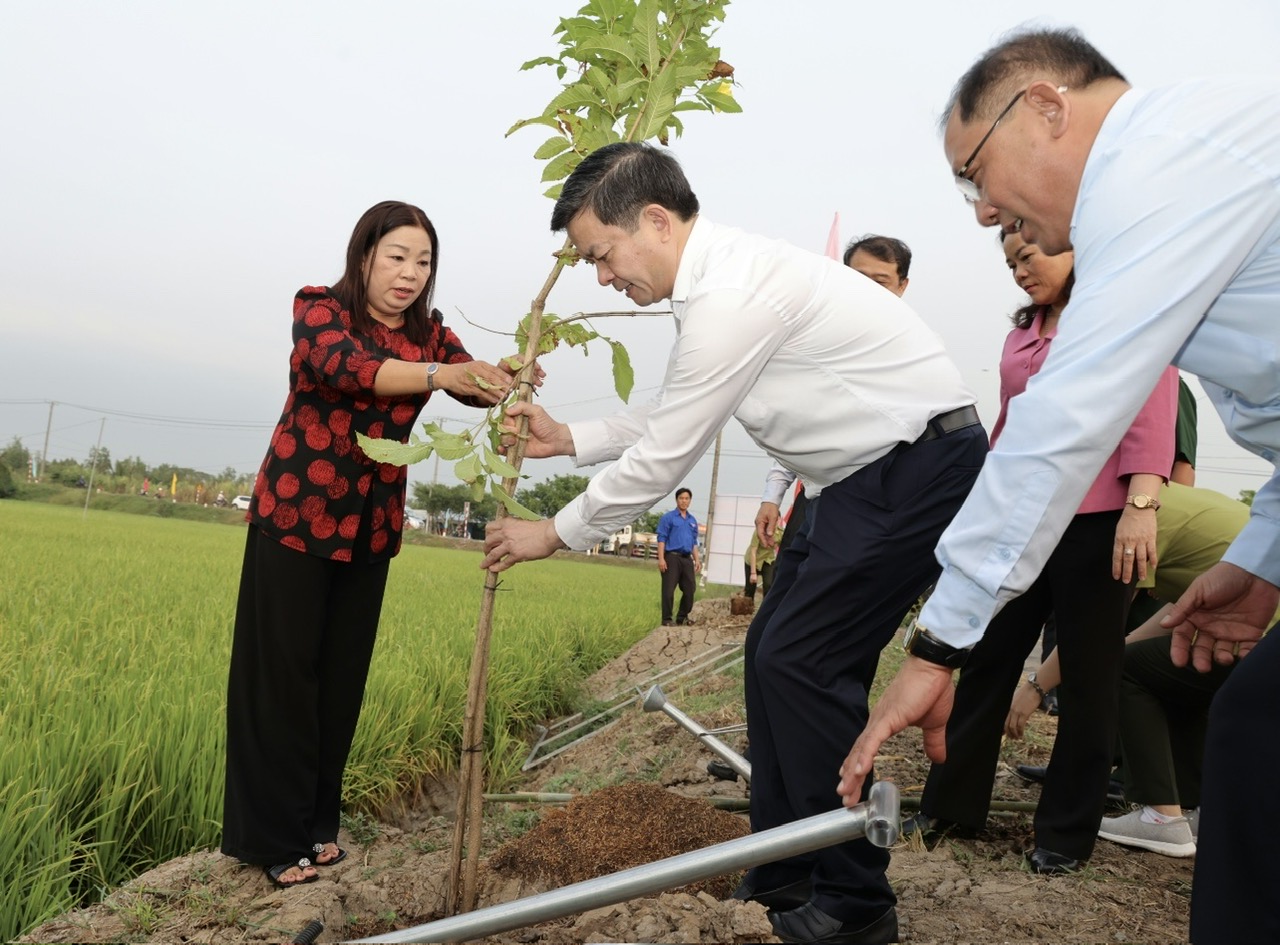 Cần Thơ phát động Tết trồng cây, kỳ vọng vụ lúa Đông Xuân thắng lợi