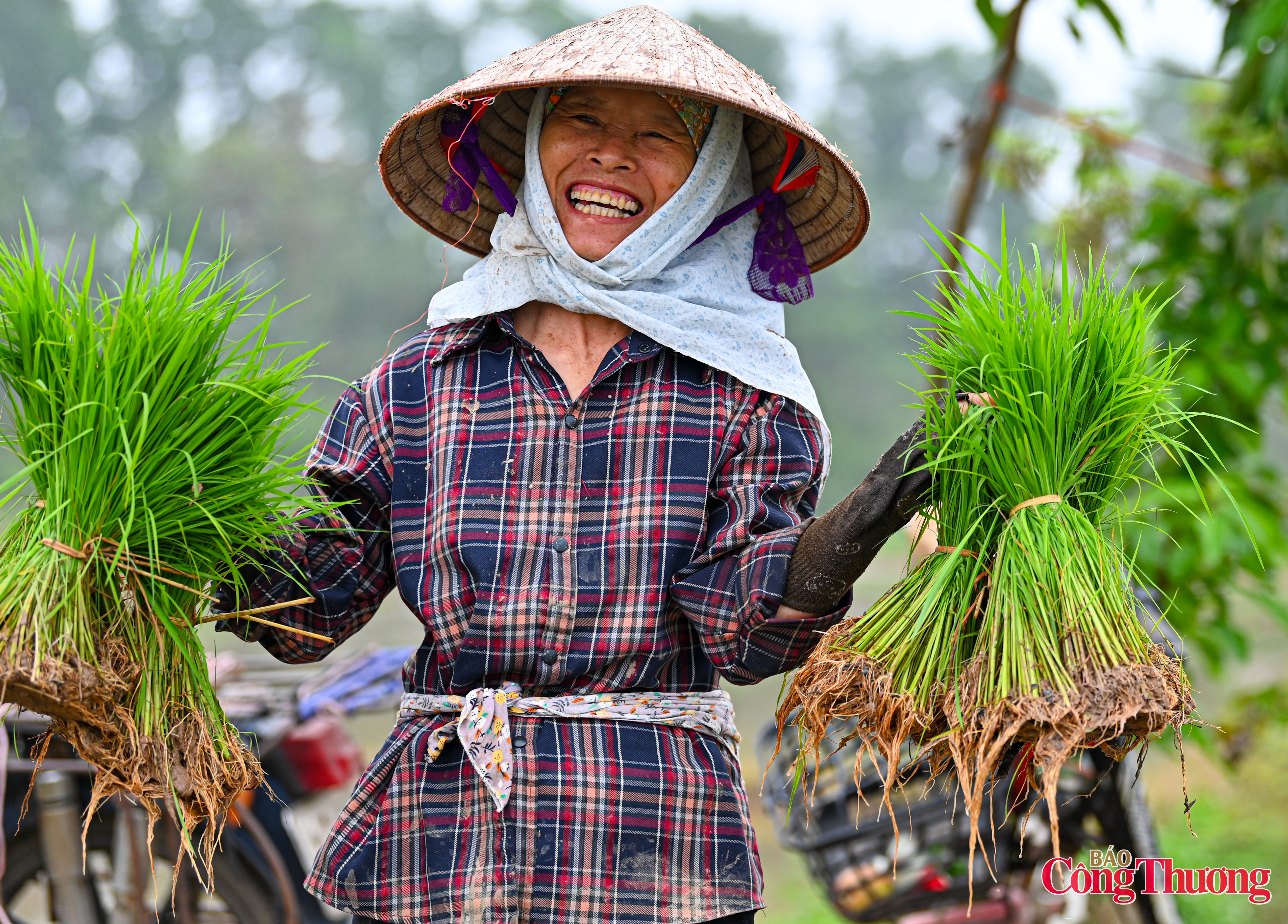 Bà con nông dân ngoại thành Hà Nội hồ hởi xuống đồng sản xuất vụ xuân