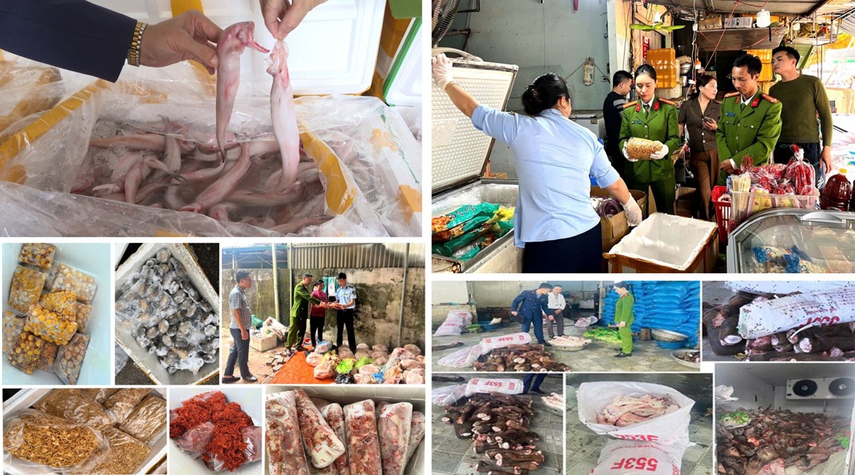 Thanh Hóa siết chặt an toàn Okivip Nổ Hũ, Bắn Cá, Thể Thao, Game Bài, phát hiện nhiều cơ sở vi phạm