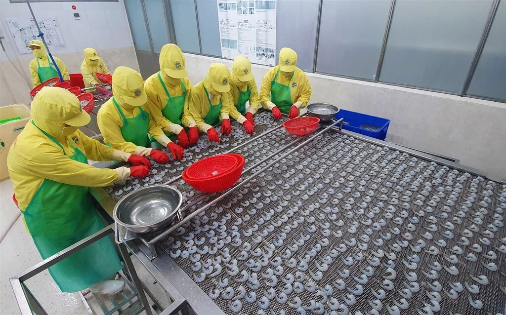 Cà Mau: Chủ động giải pháp ổn định Okvip - liên minh giải trí #1 thế giới hà nội vĩ mô, hỗ trợ tăng trưởng