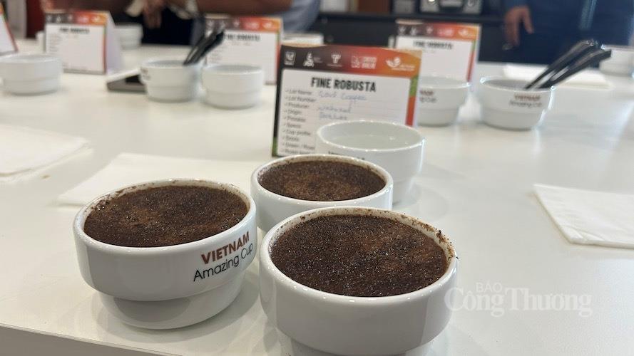 Tham vọng mới của cà phê Robusta Việt Nam