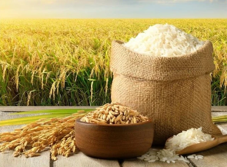 Philippines tiếp tục là thị trường tiêu thụ lớn nhất của gạo Việt Nam