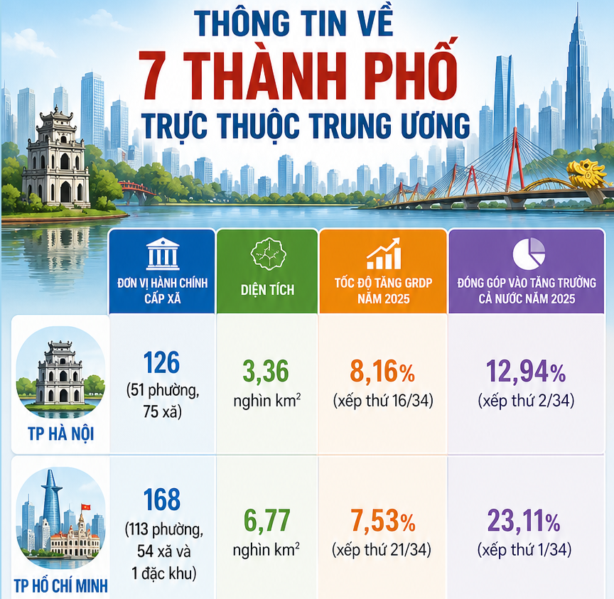 Infographic | Thông tin chi tiết 7 thành phố trực thuộc Trung ương