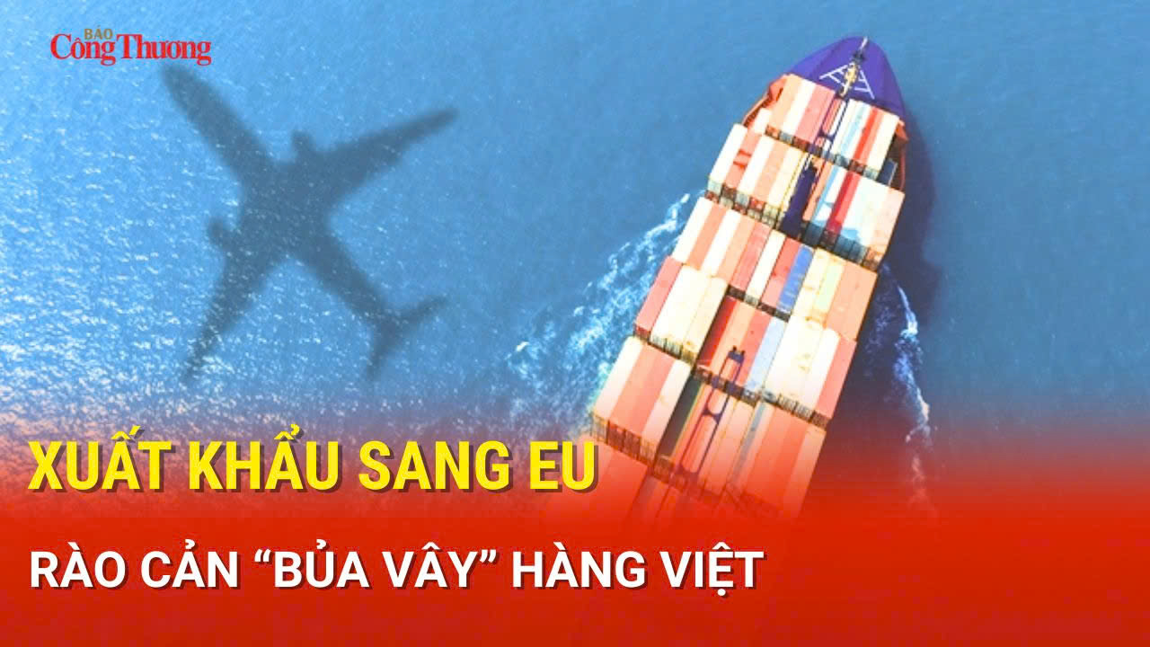 Liên Minh Truyền Thông Và Game Giải Trí Top 1 sang EU: Rào cản 'bủa vây' hàng Việt