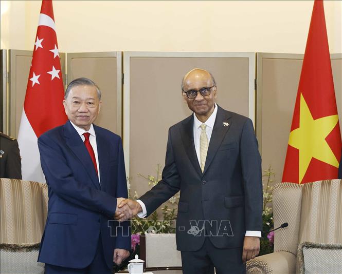 Tổng Bí thư, Chủ tịch nước Tô Lâm hội đàm với Tổng thống Singapore