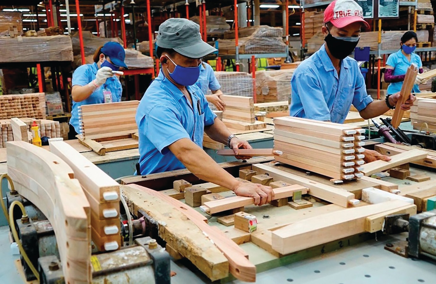 Dùng gỗ để giữ rừng: Đã đến lúc thay đổi tư duy về vật liệu xanh