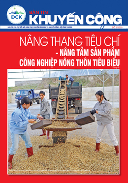 Bản tin khuyến công 6