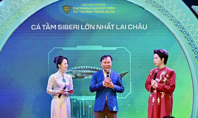 Cá tầm 50kg đấu giá trăm triệu: Mở hướng nâng tầm Trang Chủ OKVIP COM Top #1 Lai Châu