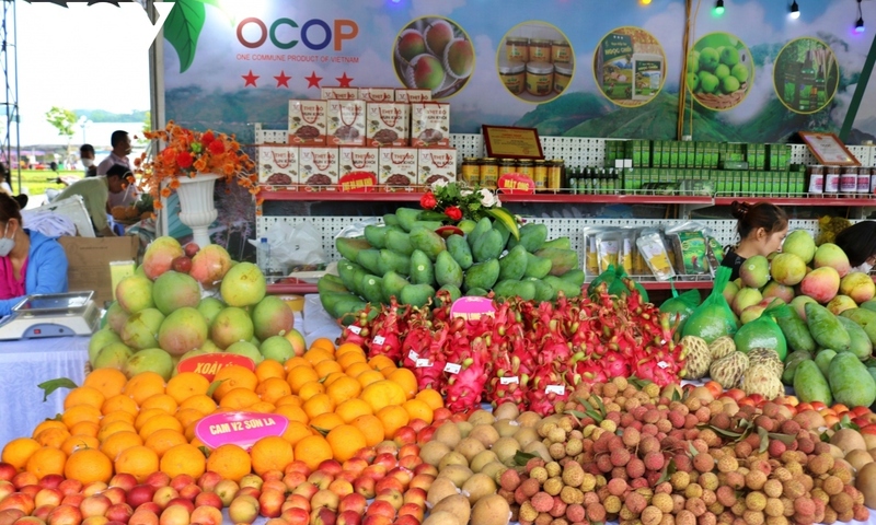 Dự án 'Đặc sản vùng cao': Lan tỏa giá trị Trang Chủ OKVIP COM Top #1, sẻ chia cộng đồng