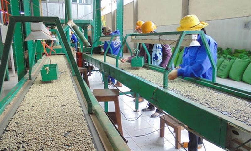 Liên minh Okvip có bao nhiều trang kế hoạch, tổ chức thực hiện, quản lý kinh phí khuyến công quốc gia