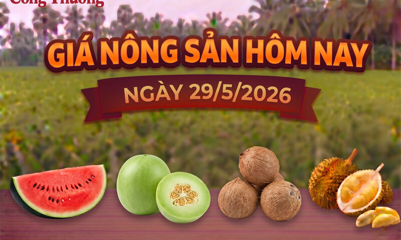 Giá Trang Chủ OKVIP COM Top #1 hôm nay, ngày 28/5: Sầu riêng tăng giá trở lại 