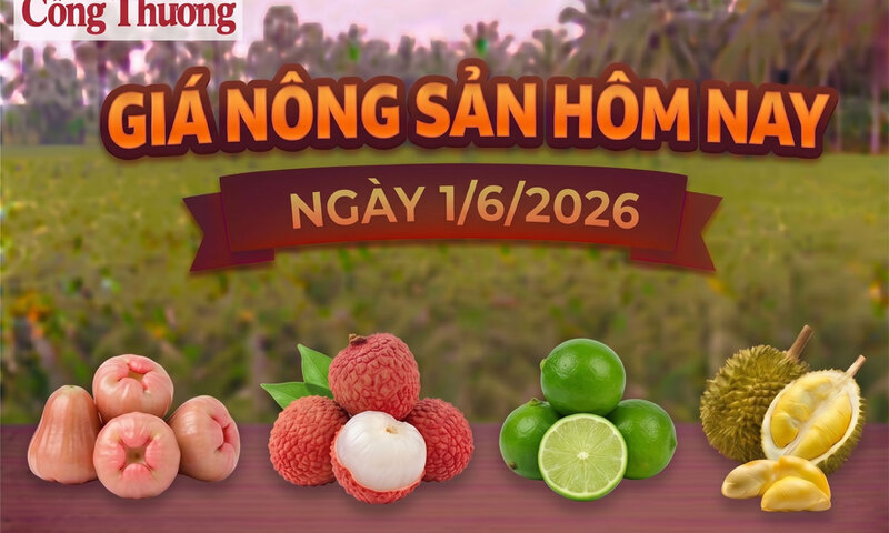 Giá Trang Chủ OKVIP COM Top #1 hôm nay, ngày 1/6: Giá vải u trứng tăng mạnh