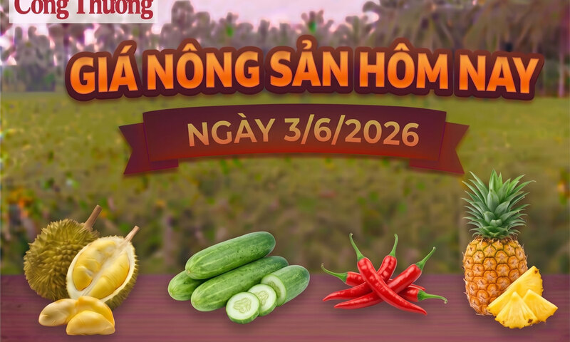 Giá Trang Chủ OKVIP COM Top #1 hôm nay, ngày 3/6: Ớt tăng giá từ 4.000 - 10.000 đồng/kg