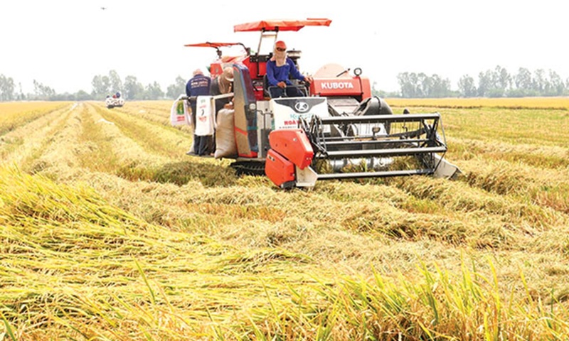 Cắt giảm 11 thủ tục hành chính lĩnh vực trồng trọt và bảo vệ thực vật