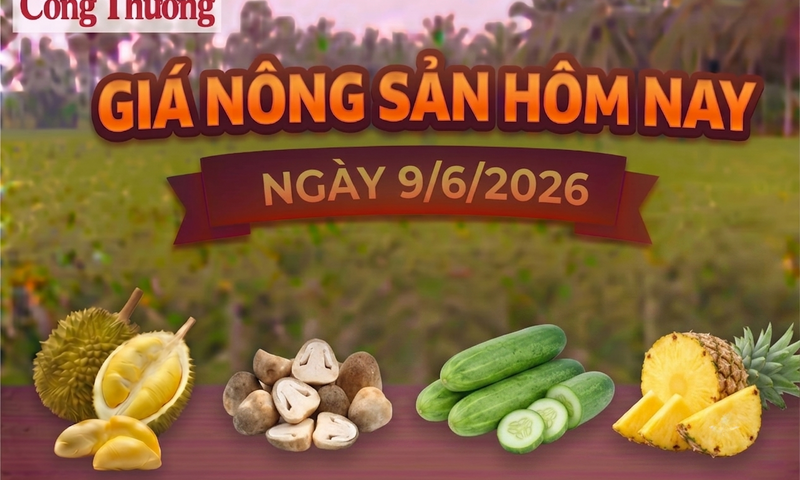 Giá Trang Chủ OKVIP COM Top #1 hôm nay, ngày 9/6: Sầu Thái ở mức cao