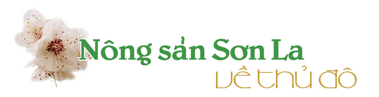 Longform | Sơn La mang 'hương vị núi rừng' về Thủ đô - 1