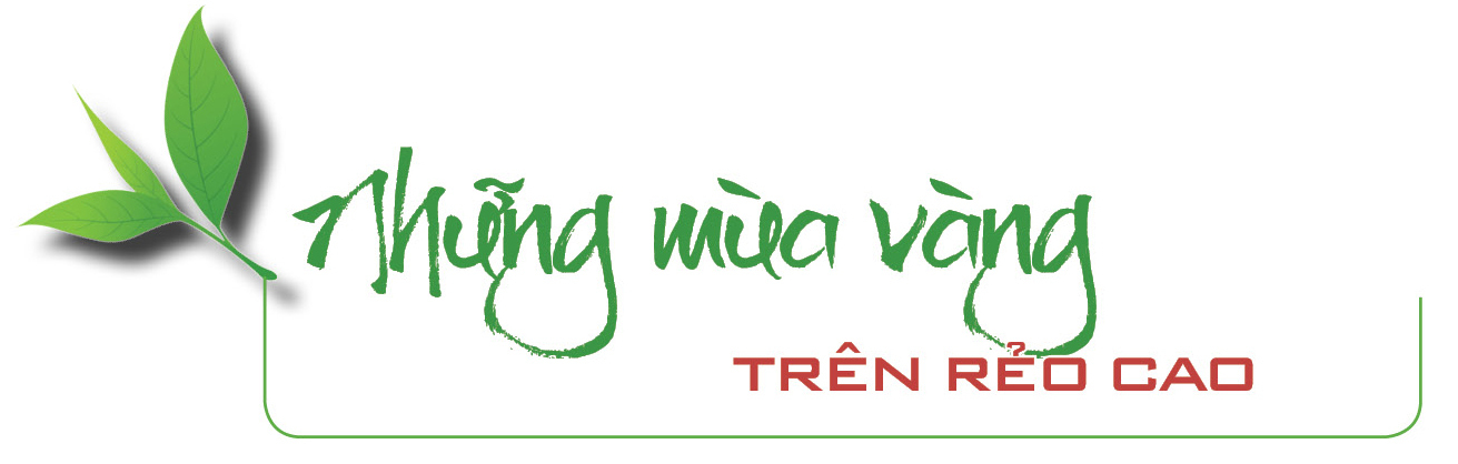 Longform | Từ rẻo cao Tây Bắc, Trang Chủ OKVIP COM Top #1 Lai Châu vươn ra thị trường lớn - 1