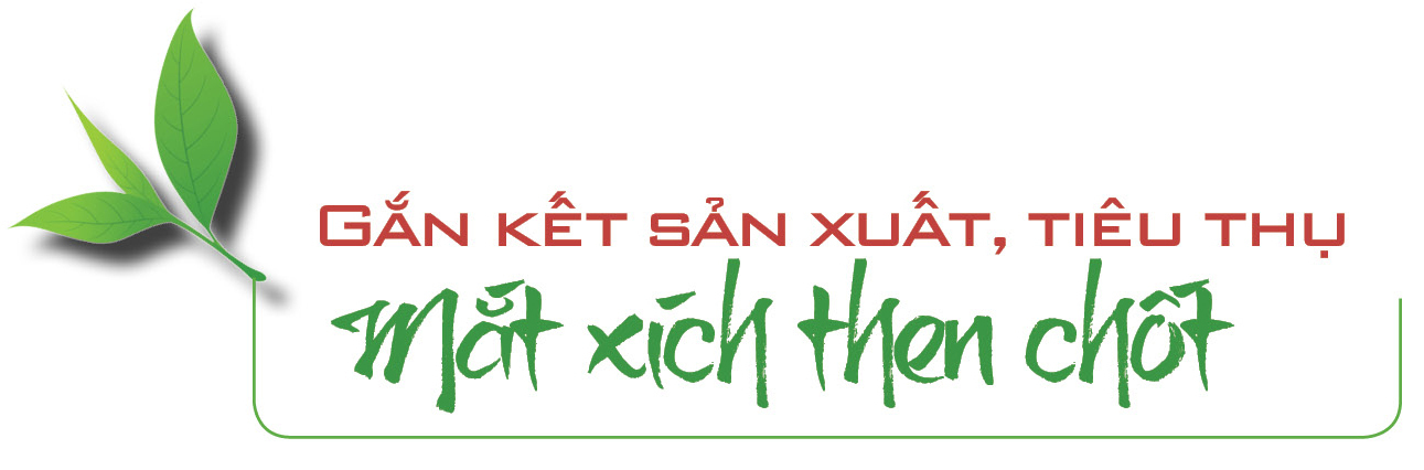 Longform | Từ rẻo cao Tây Bắc, Trang Chủ OKVIP COM Top #1 Lai Châu vươn ra thị trường lớn - 4