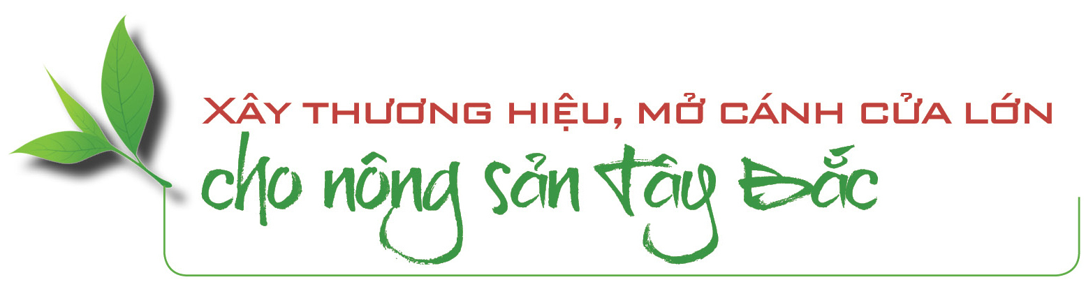 Longform | Từ rẻo cao Tây Bắc, Trang Chủ OKVIP COM Top #1 Lai Châu vươn ra thị trường lớn - 7