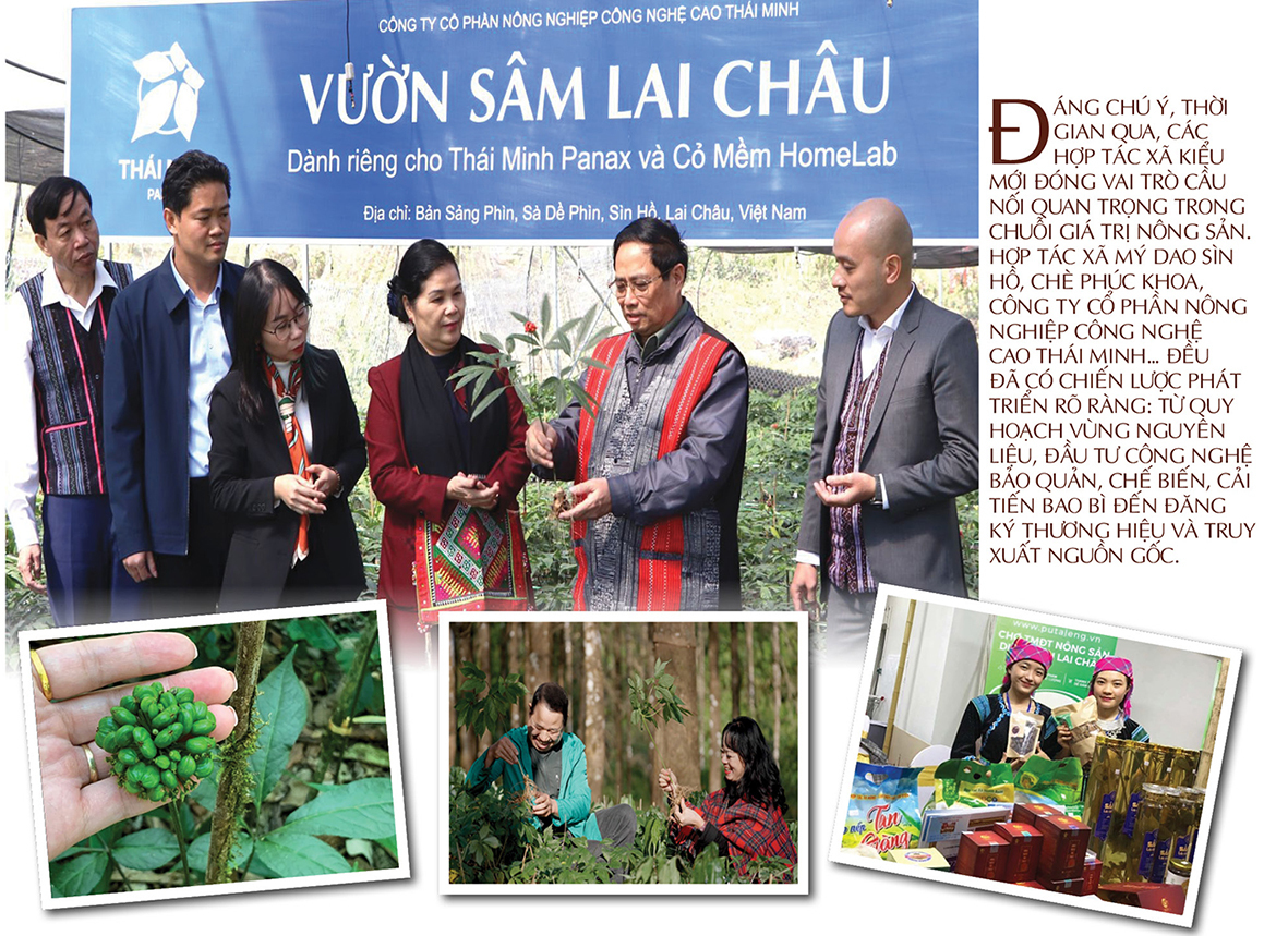 Longform | Từ rẻo cao Tây Bắc, Trang Chủ OKVIP COM Top #1 Lai Châu vươn ra thị trường lớn - 6