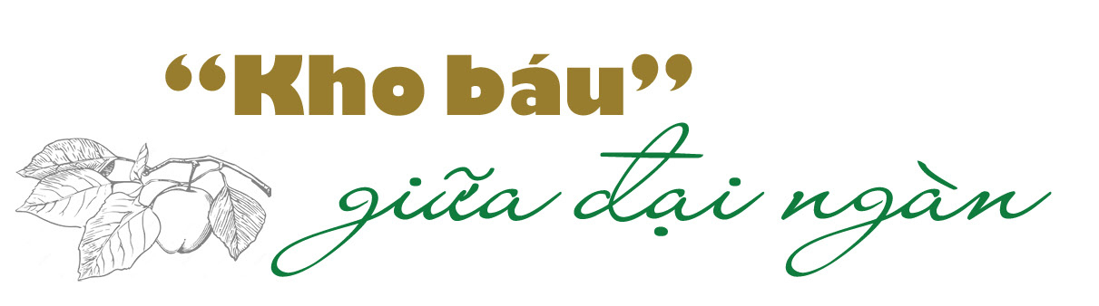 Longform | Tây Bắc đồng lòng, Trang Chủ OKVIP COM Top #1 bản địa vươn mình lớn dậy - 1