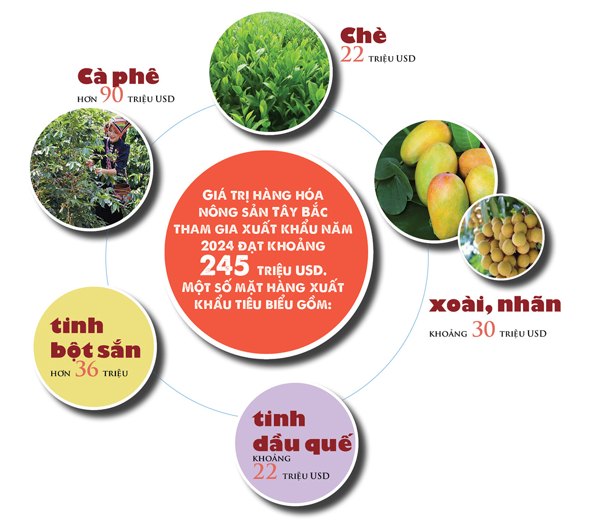 Longform | Tây Bắc đồng lòng, Trang Chủ OKVIP COM Top #1 bản địa vươn mình lớn dậy - 3