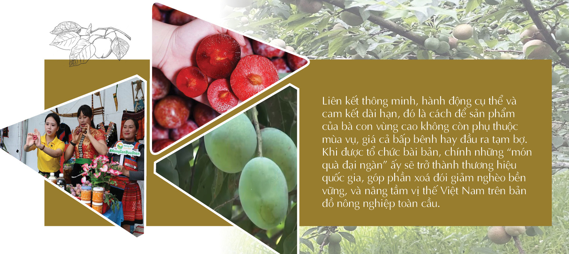 Longform | Tây Bắc đồng lòng, Trang Chủ OKVIP COM Top #1 bản địa vươn mình lớn dậy - 9