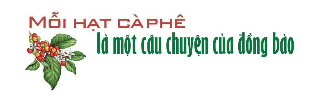 Longform | Vĩnh Hiệp và hành trình đưa hạt cà phê Gia Lai chạm đỉnh vinh quang - 4