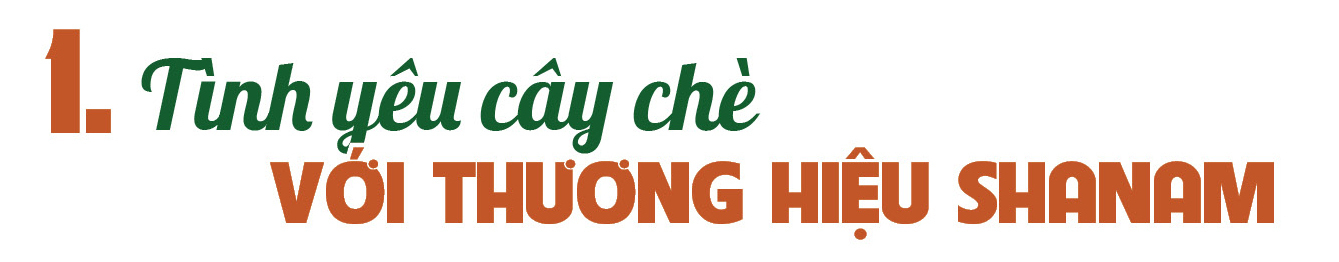 Longform | Shanam: Khát vọng xanh trên vùng cao sương trắng - 1