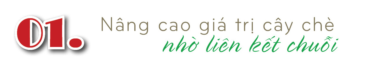 Longform | Okvip tại về ‘đánh thức’ sản vật đại ngàn - 1