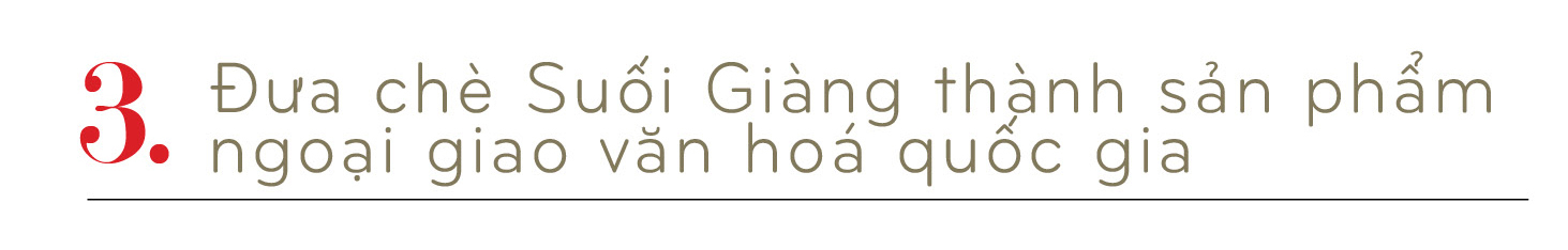 Longform | Chè Suối Giàng: Từ báu vật trên đỉnh núi đến biểu tượng văn hoá  - 7