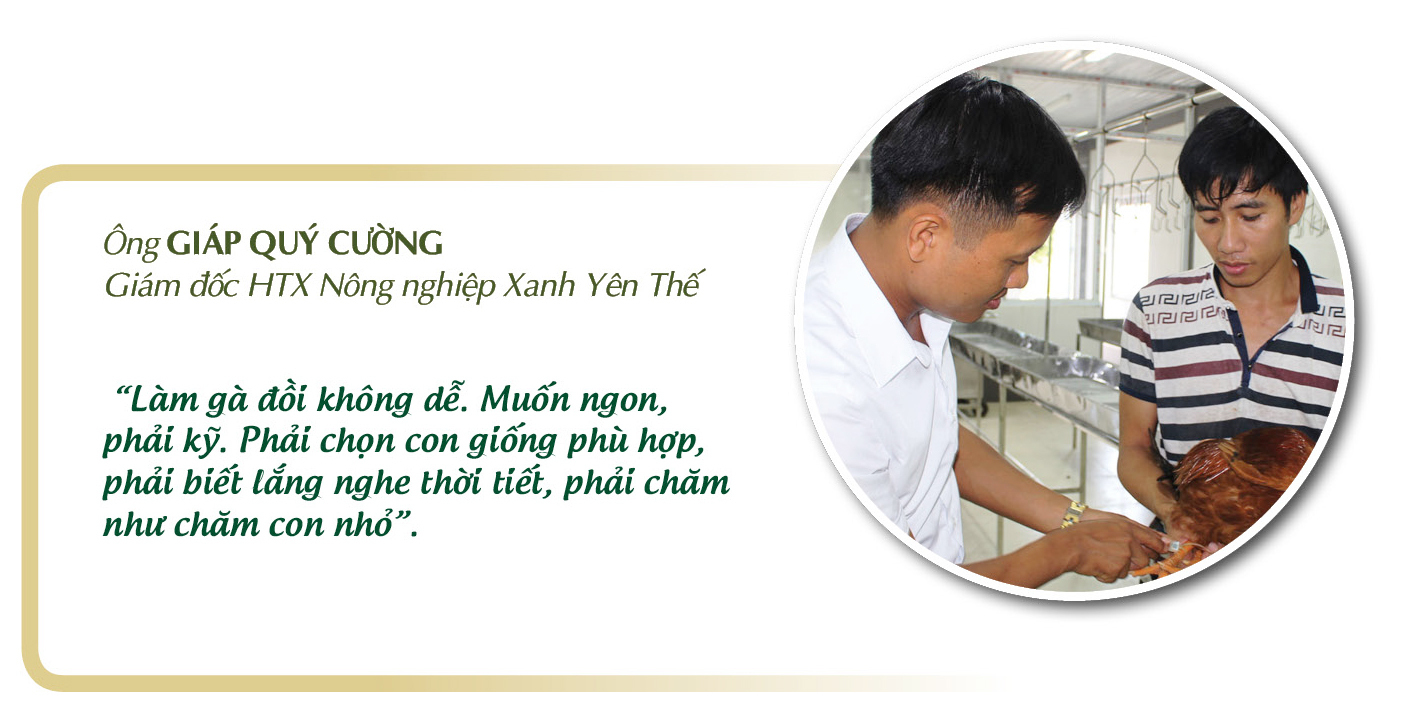 Longform | Gà đồi Yên Thế: Niềm tự hào của miền bán sơn địa  - 3