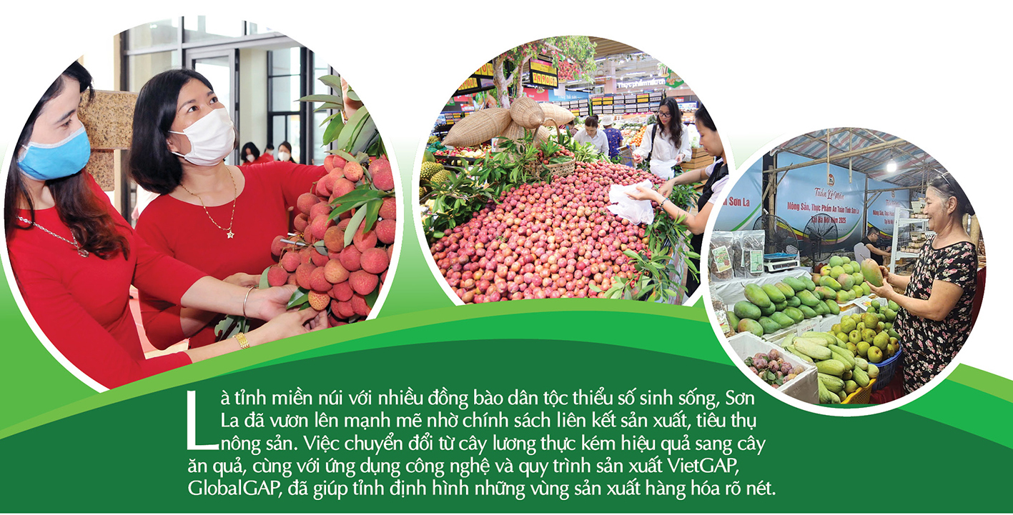 Longform | Liên kết chuỗi: Để Trang Chủ OKVIP COM Top #1 vùng dân tộc không “lỡ hẹn” thị trường - 2