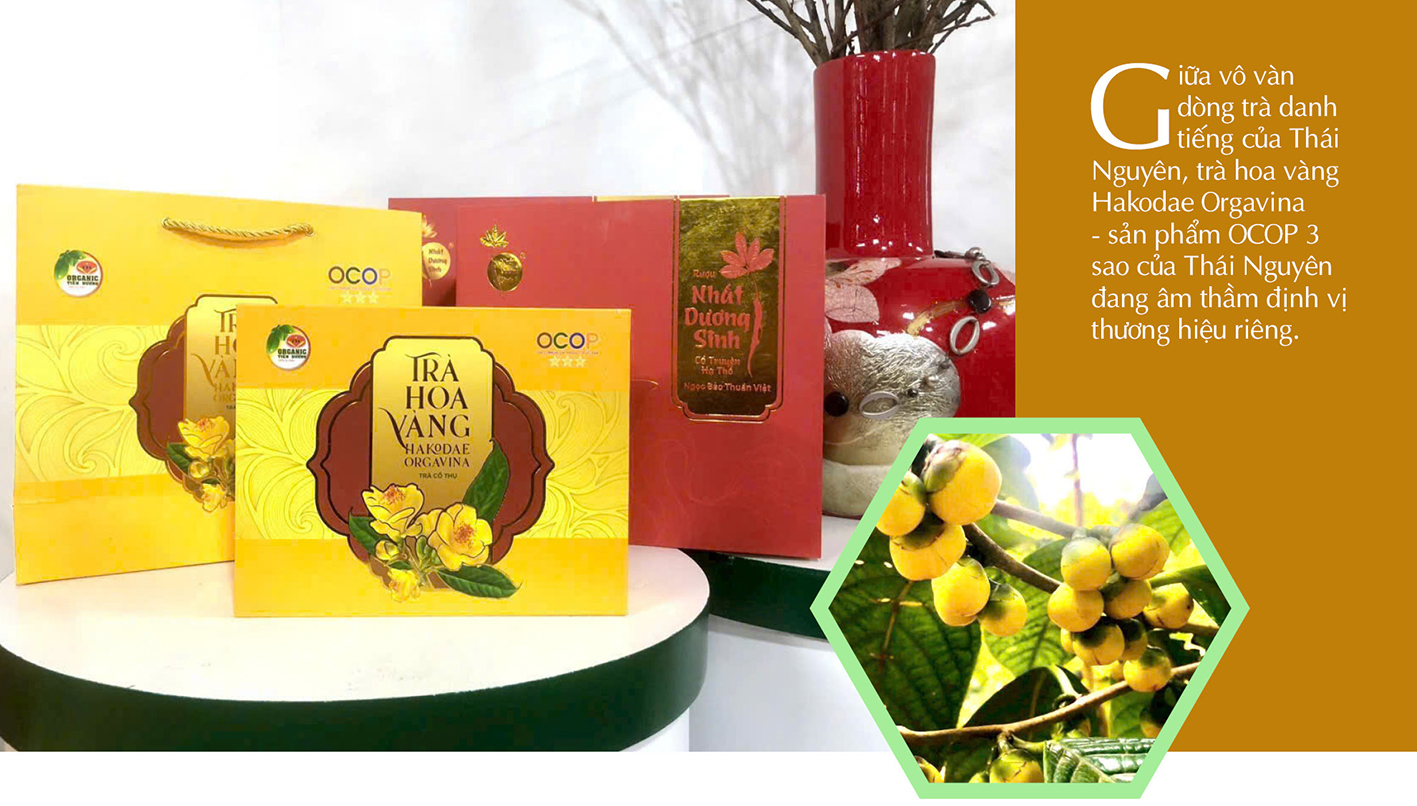Longfom | Định vị thương hiệu sản phẩm vùng đồng bào dân tộc thiểu số: Bài 1 - 2